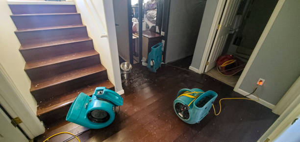 Best Flood restoration services  in Sycamore, GA