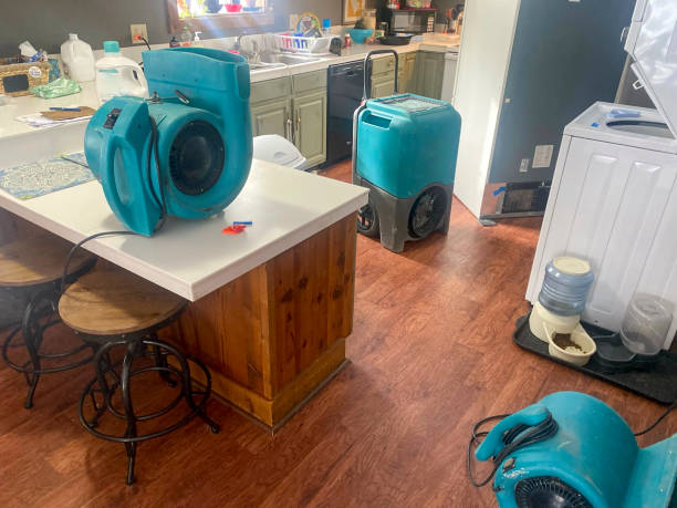 Trusted Sycamore, GA Water damage restoration Experts