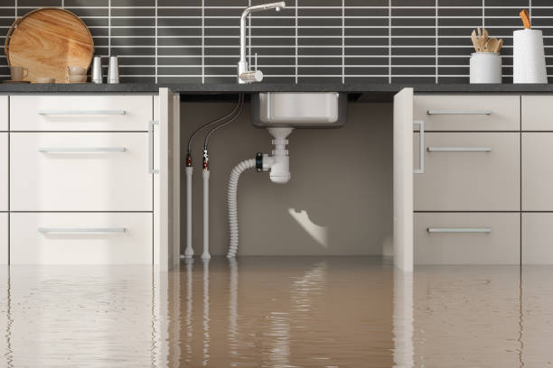 Best Water damage restoration insurance claims  in Sycamore, GA