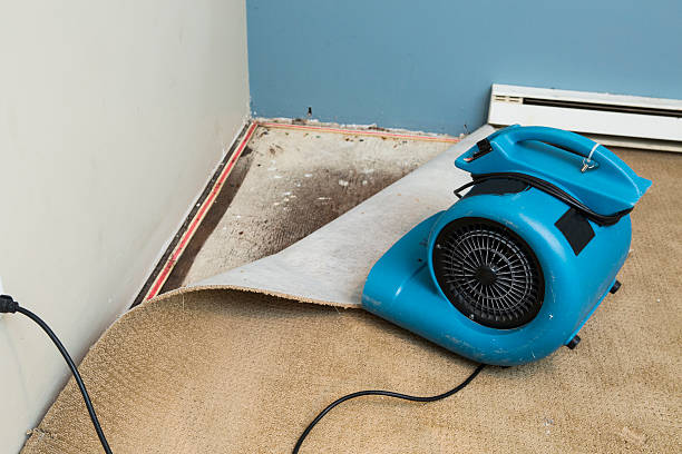Best Sewage cleanup and water damage restoration  in Sycamore, GA